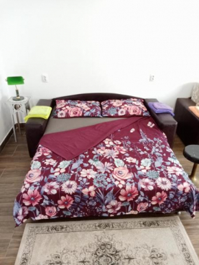 Apartman JVC